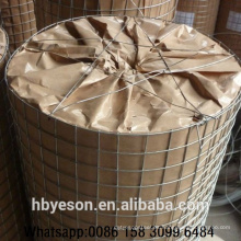 ANPING las vallas baratas de la venta caliente galvanizaron la fábrica soldada del acoplamiento de alambre